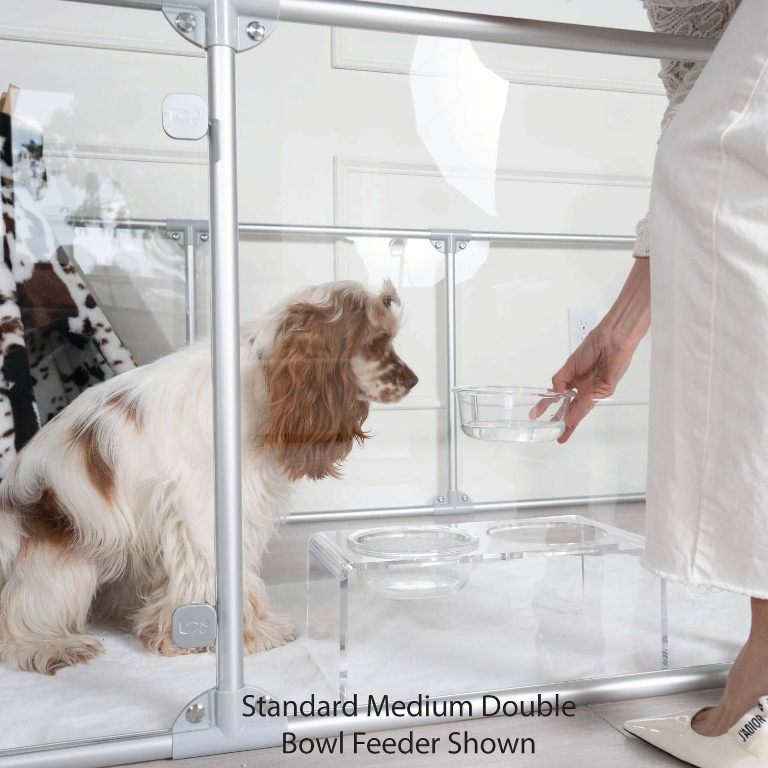 Modern Acrylic Glass Bowl Feeders, Angled Style, Double Bowl - (Unused Return)