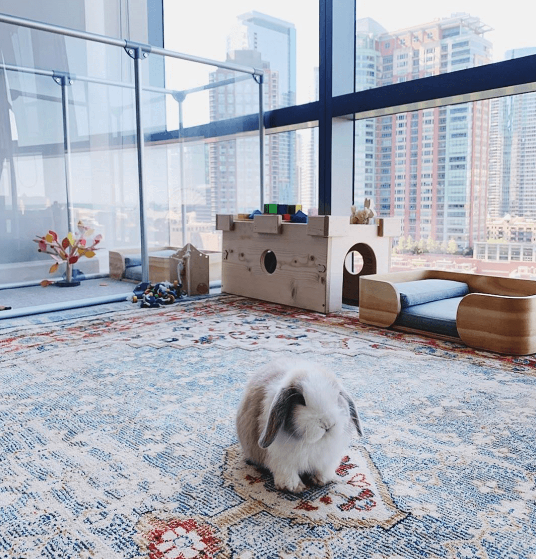  36 inch height medium pet pen in silver color with rabbit
