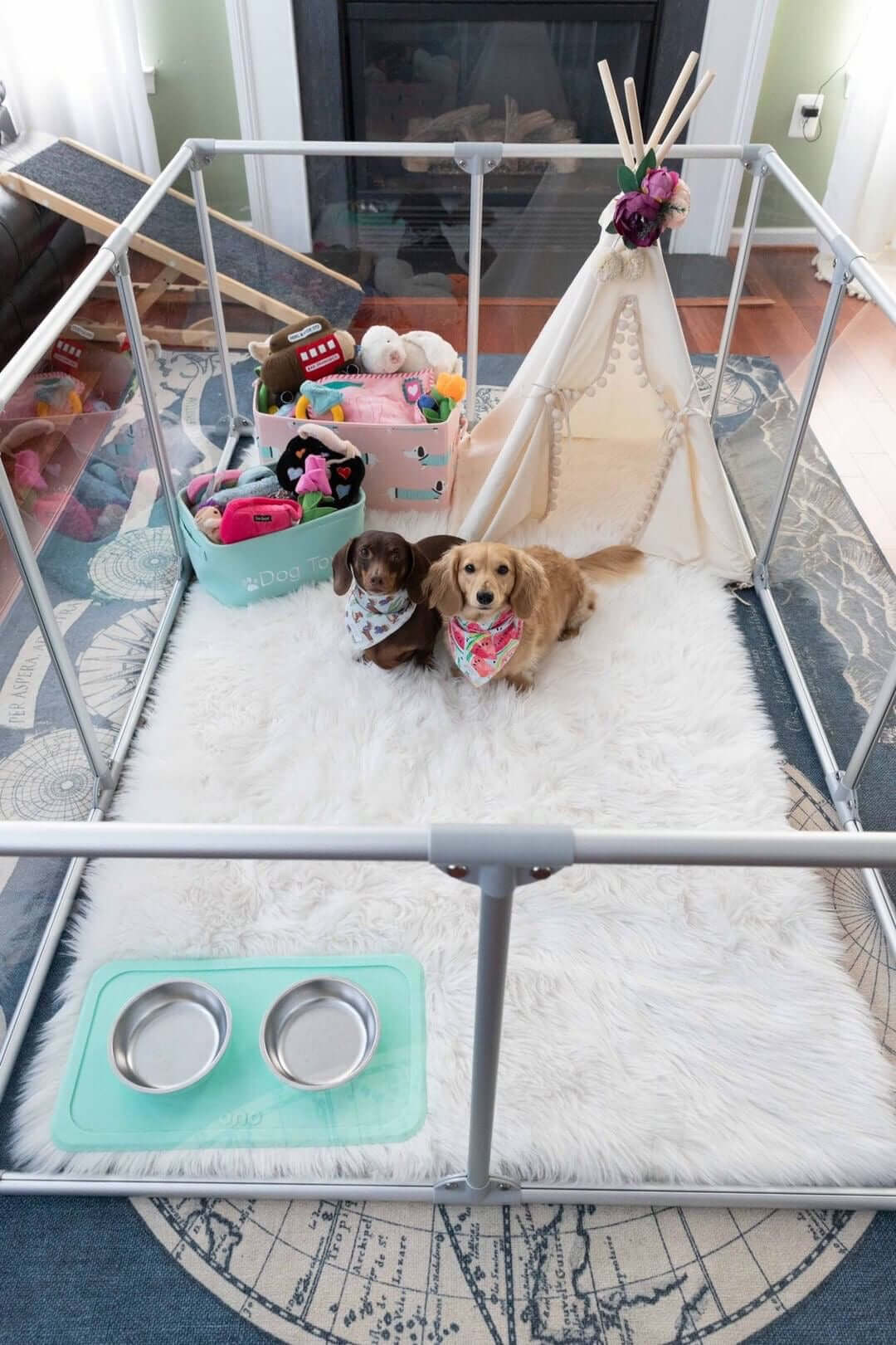 Two Dachshunds in 27 inch height large dog pen in silver color