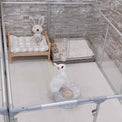 27" Tall Medium Lucidium Pet Pen, GUNMETAL - (Unused Return)