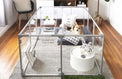 corgi inside 27 inch height large dog pen in silver color