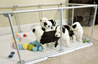 Sheep dog puppies in 27 inch height large dog pen in silver color