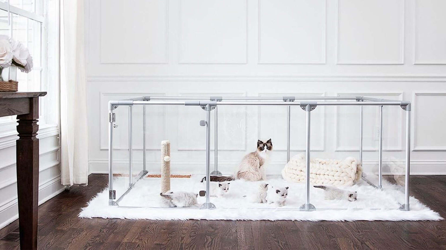 27 inch height large dog pen in silver color with litter of kittens